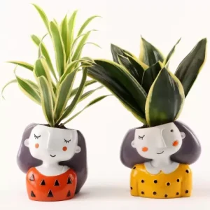 Miniature  plant